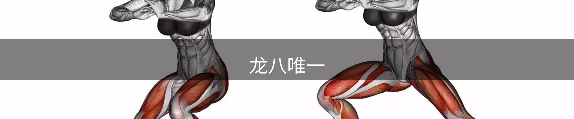龙八(头号玩家)唯一官方网站